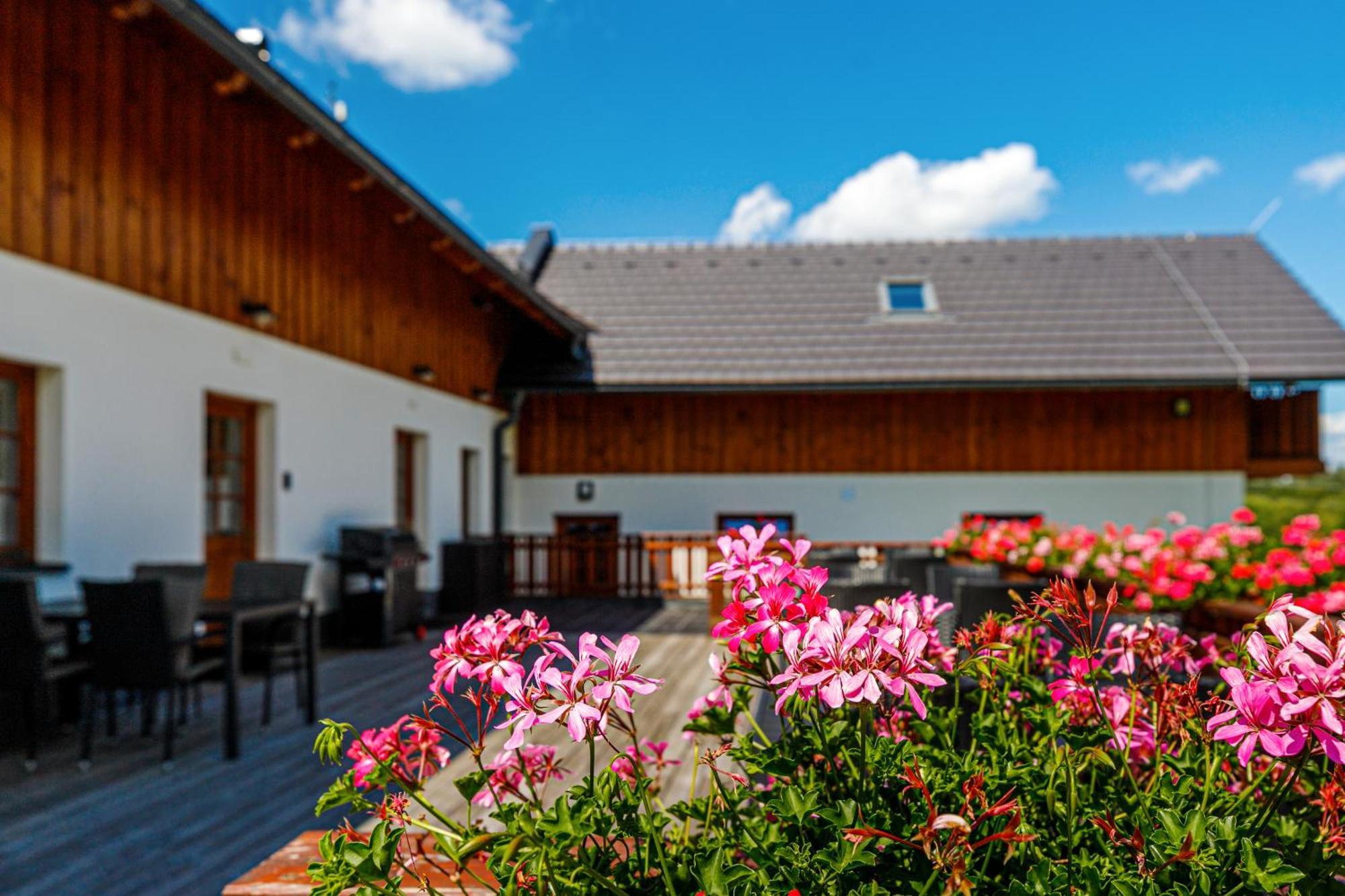Penzion Stříbrník Krásná Exteriér fotografie